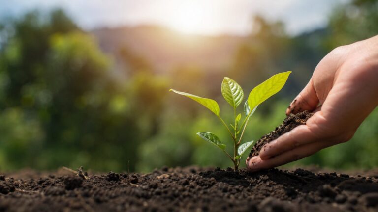 Green resolution : adoptez vos résolutions écologiques